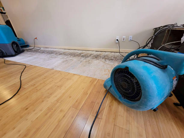 Professional Ceiling Water Damage Repair technician working in Morral, OH